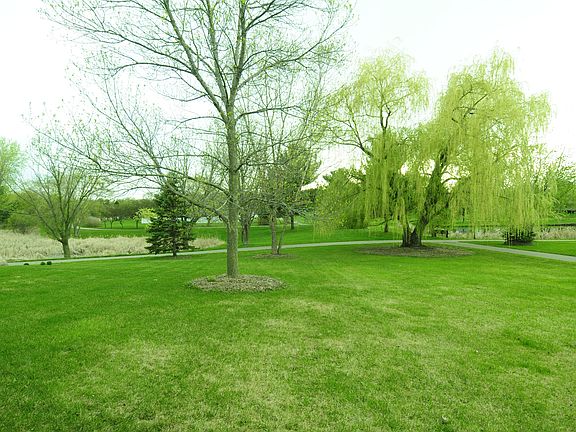 The side yard