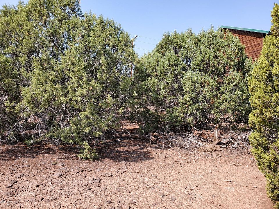 1st image of 1840 Lone Pine Circle