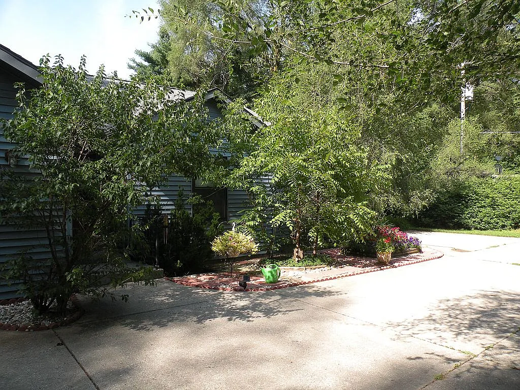 10419 Maple Rd photo 1