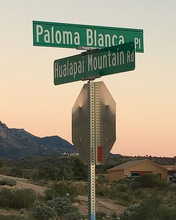 1st image of S Paloma Blanca