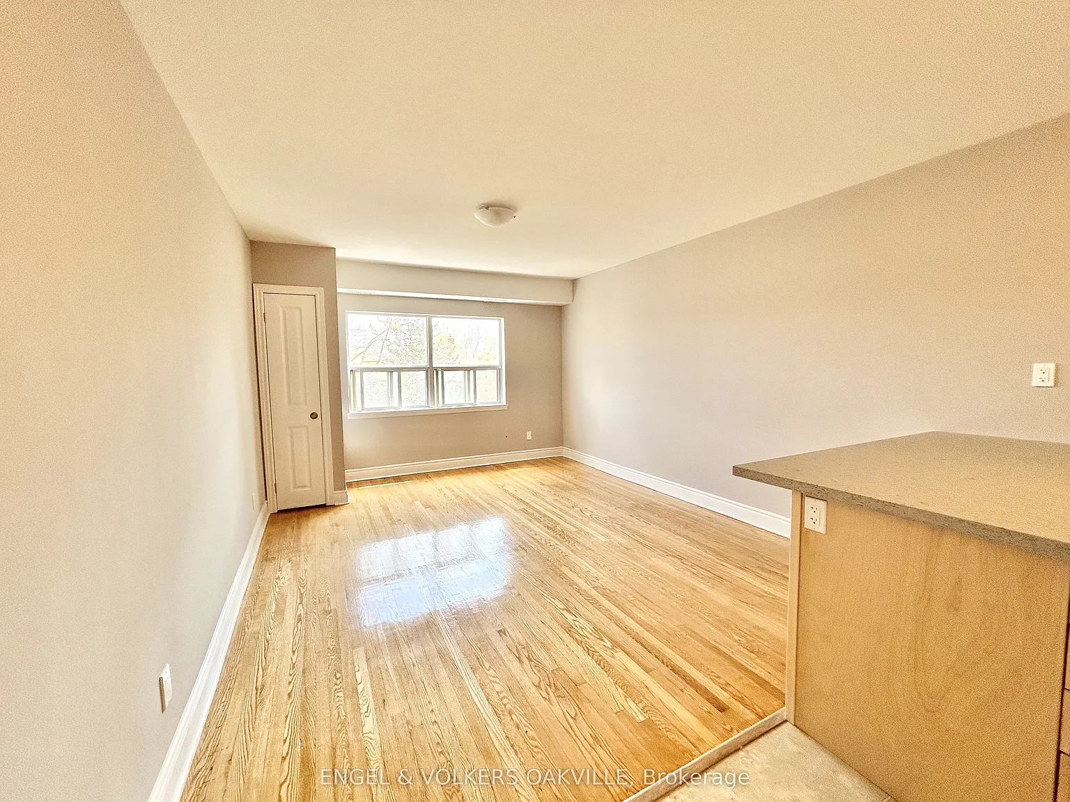 1 bed, $1,900 — Photo 4
