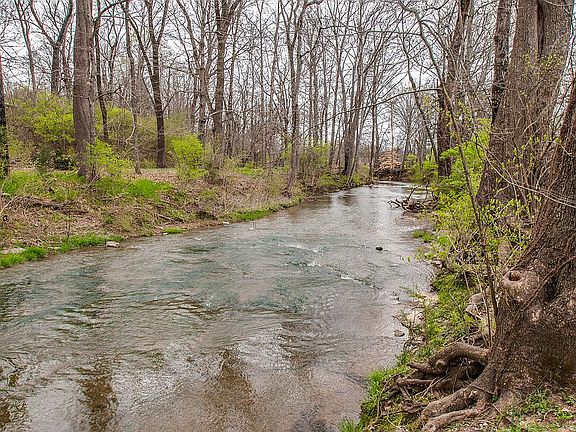 Creek in the Back of Prop.