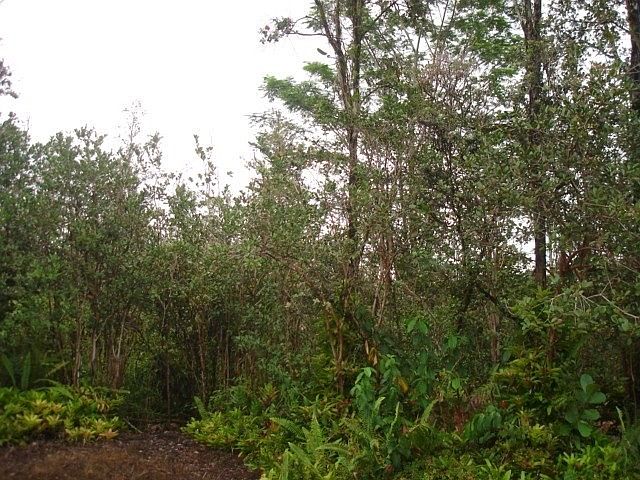 2nd image of 22nd Ave Lot 320