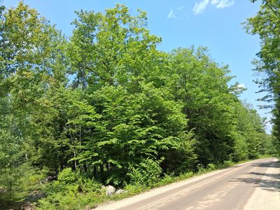 Lot 30 Corner N/S McAllister Road, Oxford, ME, 04270