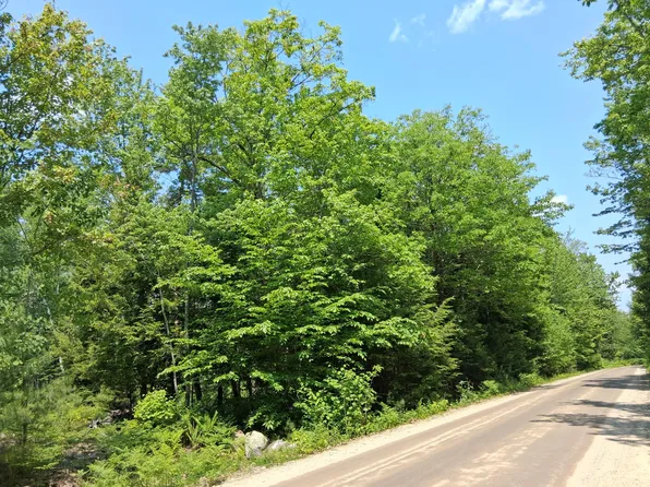 Lot 30 Corner N/S McAllister Road, Otisfield, ME 04270