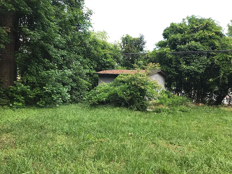 401 Pinelea Rd — Photo 10