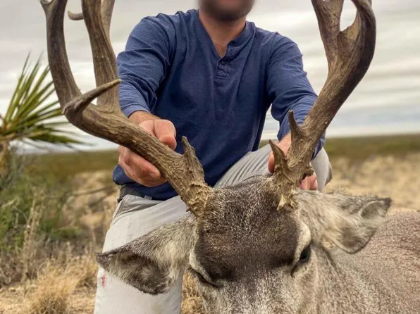 Highway 67, Fort Stockton, TX 79735