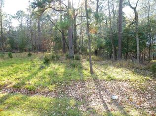 47 N Forest Cove Loop, Coldspring, TX 77331