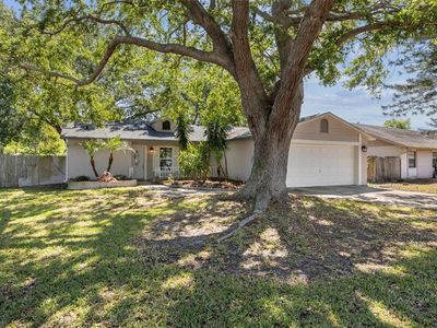 1849 Diane Dr, Clearwater, FL, 33759