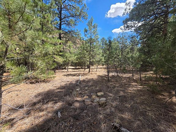 4th image of Timber Canyon Rd #173
