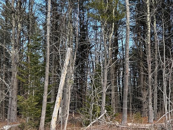3rd image of 224-3-1 Maine 109