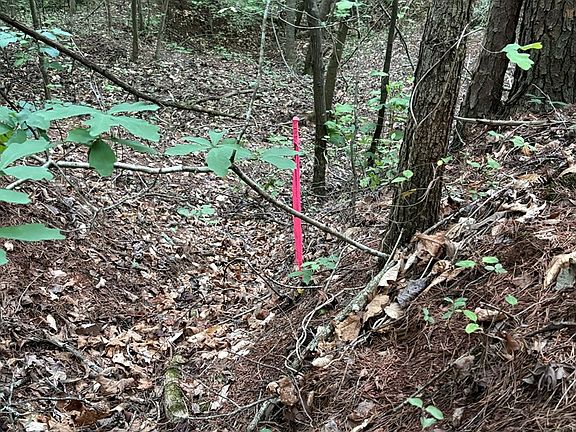 2nd image of 0 Hidden Lake Rd