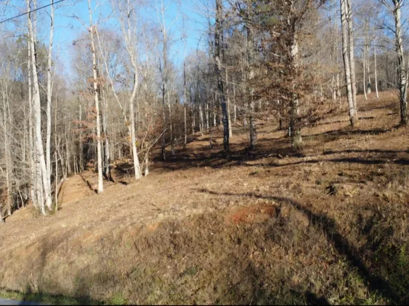 LOT 49 Old Leadmine Bend Rd, Sharps Chapel, TN 37866