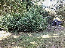 2nd image of 3618 Hiers Blvd