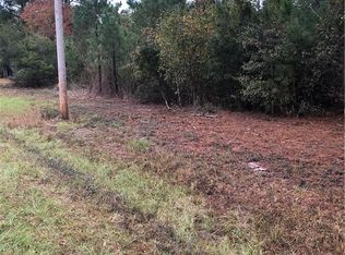 298 Zeigler Rd, Bloomingdale, GA 31302