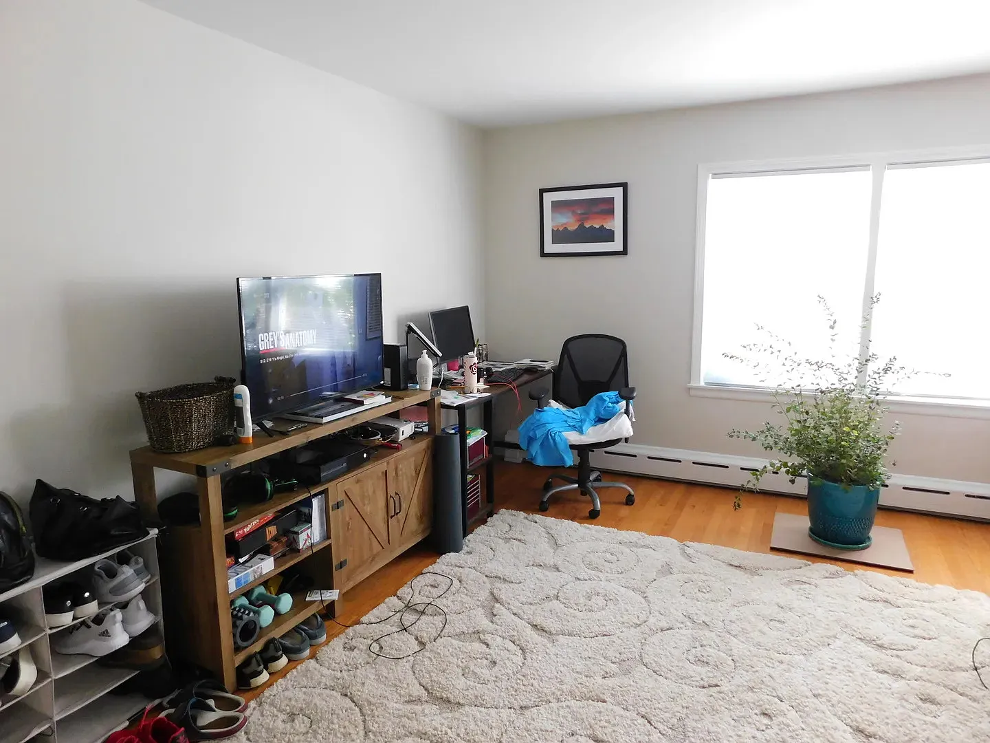 1 bed, 740 sqft, $1,775 — Photo 3