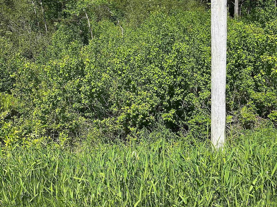 1st image of LOT 2 Stewood Dr
