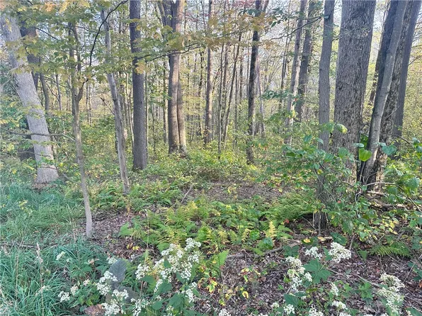 100 County Line Rd, Champion, PA 15622