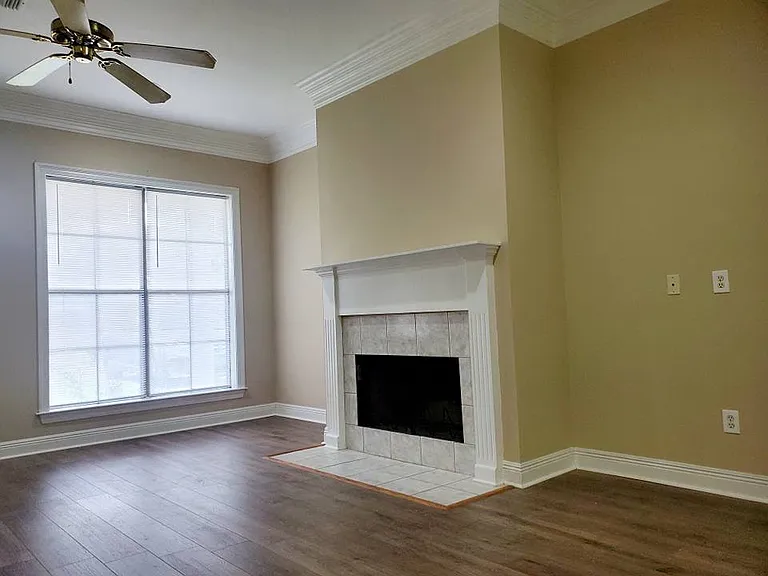 107 Olive Vista Dr — Photo 20