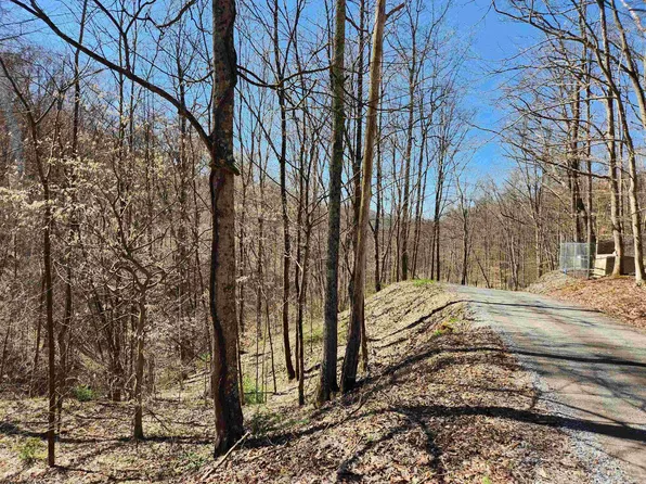 Lynn Chapel Rd, Grafton, WV 26354