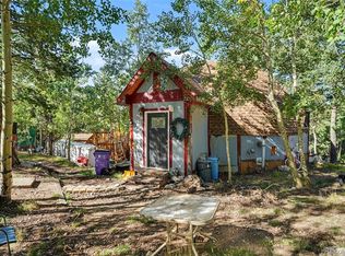 11233 Conifer Mountain Rd, Conifer, CO 80433