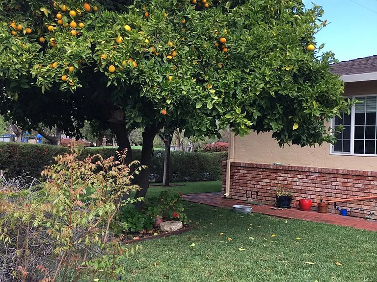 804 Sevely Dr — Photo 31