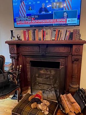 Rented by Douglas Elliman | media 15