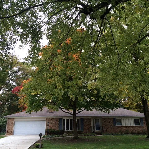 3223 Suncrest Dr photo 1