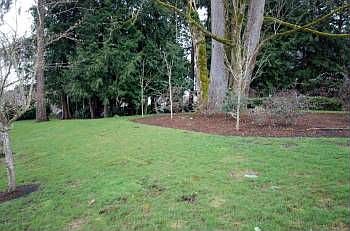 5th image of 11878 175th Pl NE