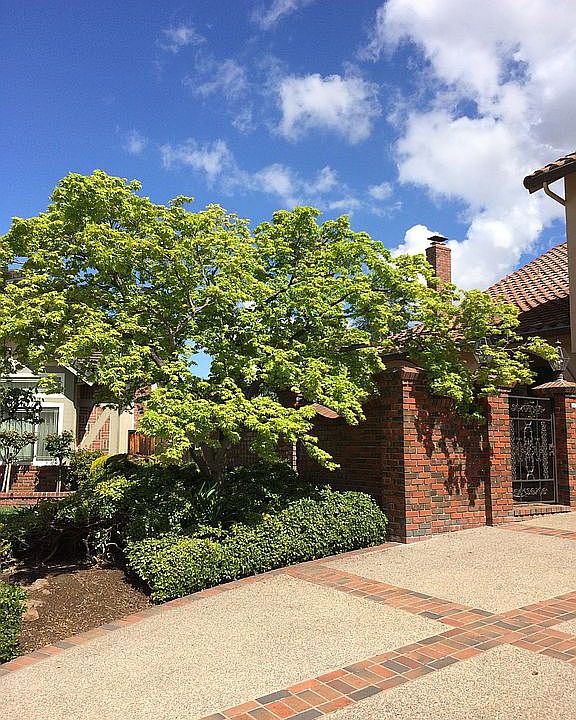 1st image of 1153 Hollow Park Ct