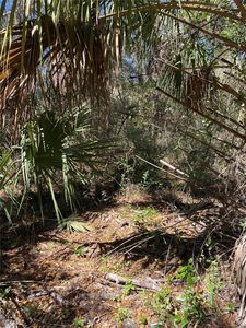 2519 W PLUMTREE LANE LOT 165, Dunnellon, FL, 34433