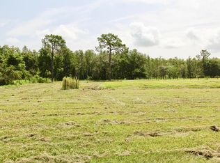 10627 Overland Trl, Polk City, FL 33868