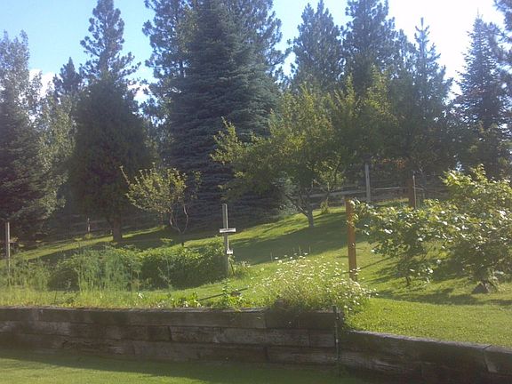 Orchard