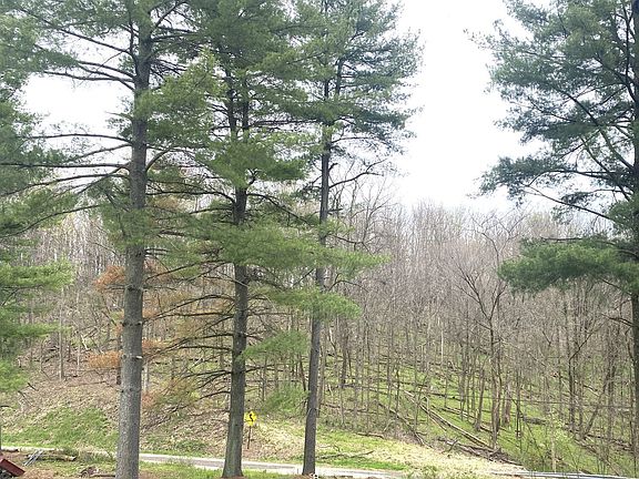 4th image of 90900 Plum Run Rd