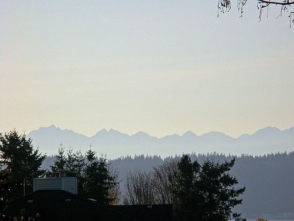 View of Olympic Mountains from Master Bedroom Suite