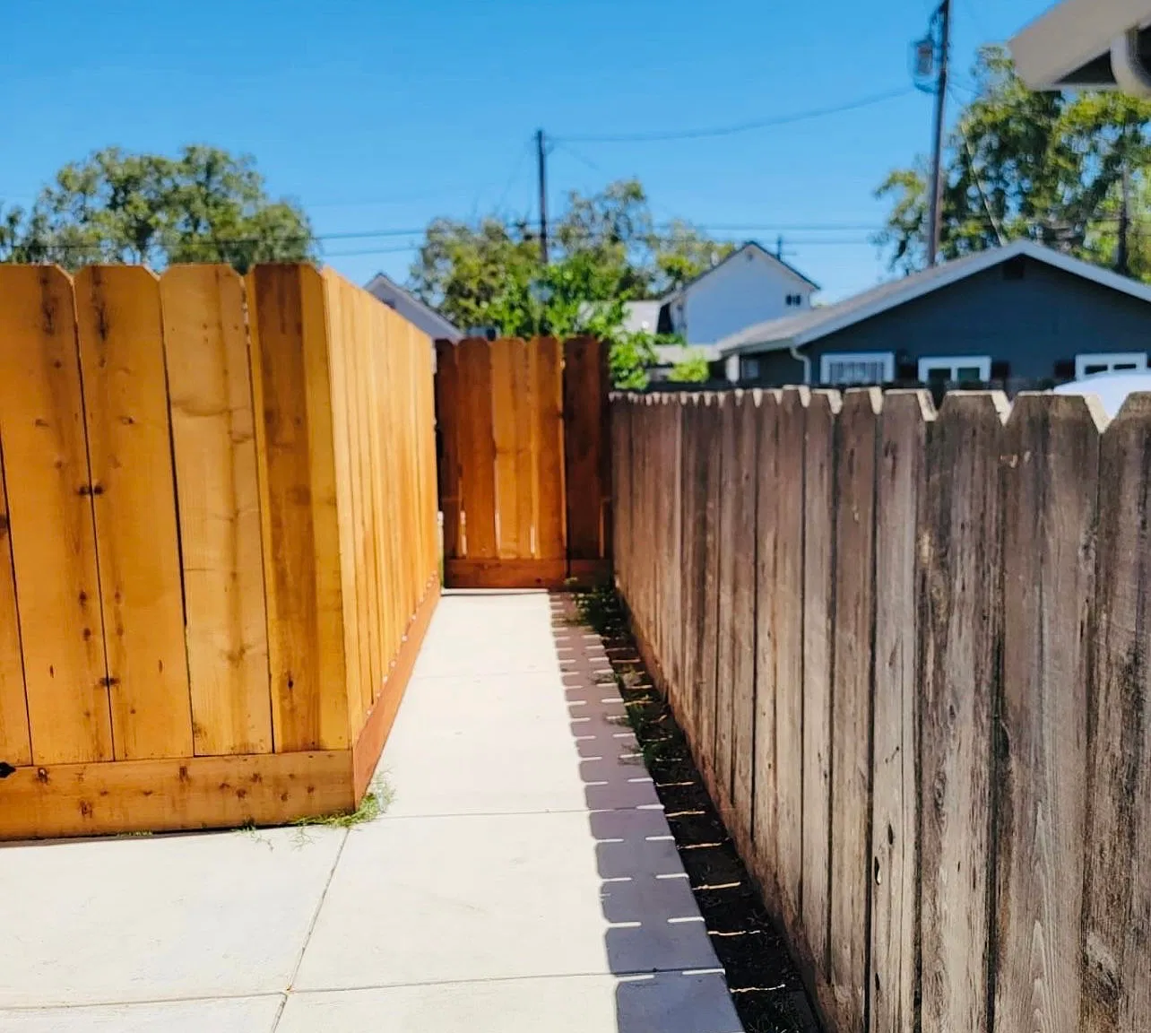 Studio, 350 sqft, $1,200 — Photo 3