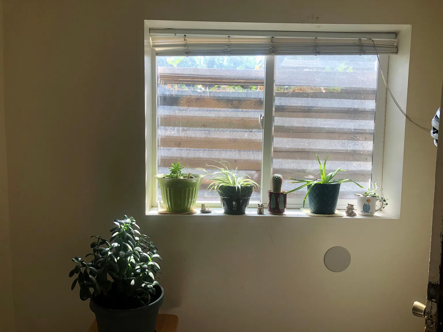 2 bed, 1350 sqft, $1,300 — Photo 2