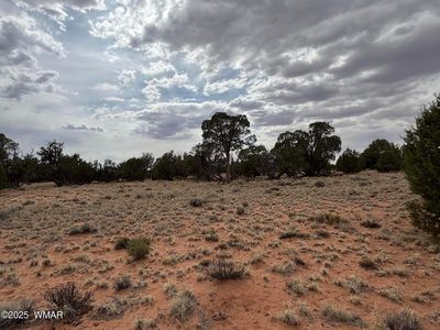 N 5505th, Concho, AZ, 85924