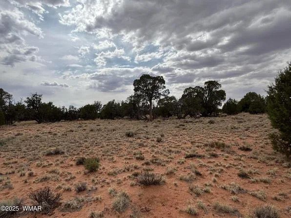 N 5505th, Concho, AZ 85924