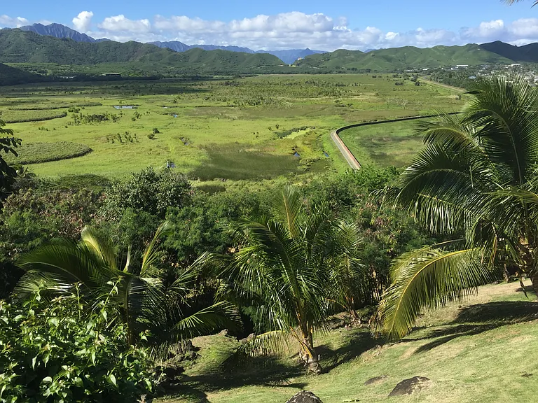 1005 Kailua Rd — Photo 20