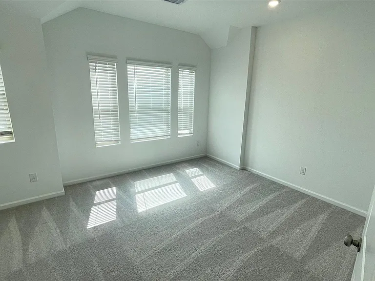 30310 Tall Fescue — Photo 14