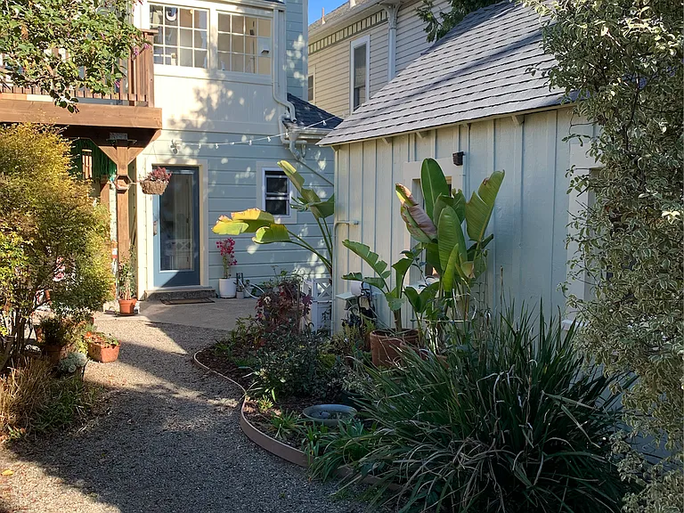 Shared back yard.