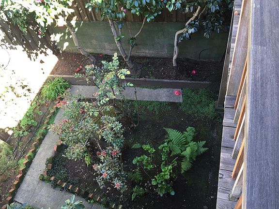 3rd image of 4 Montague Pl