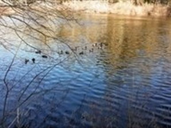 76 River Rd, Norfolk, MA 02056