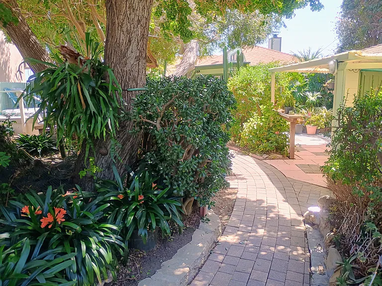Front Garden