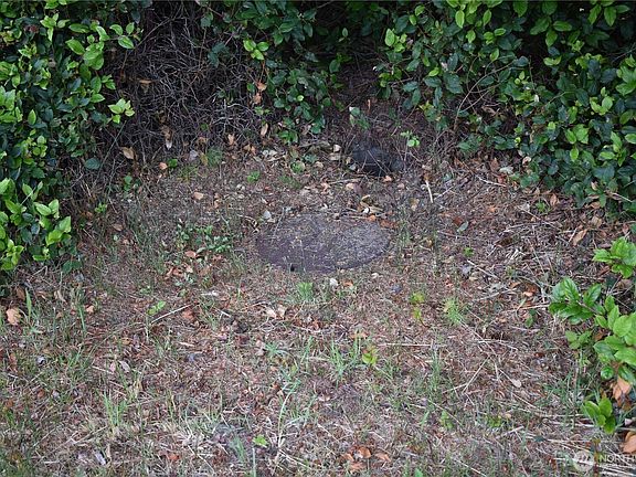 2nd image of 672 Island Circle SE