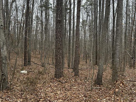 4th image of 0 Davis Hwy