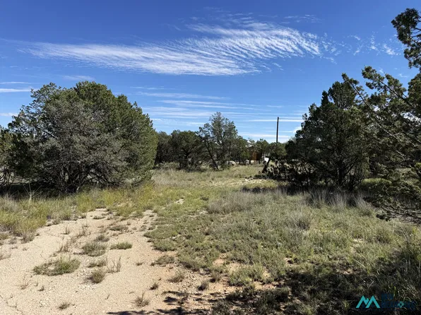 16 Chimney Ln, Carlsbad, NM 88220