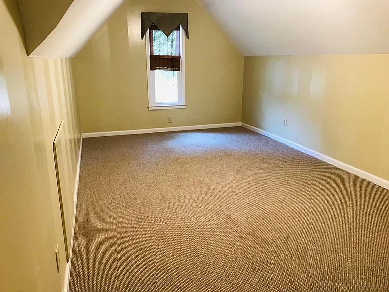 Bonus Room
(All carpeting upstairs is now this shade)