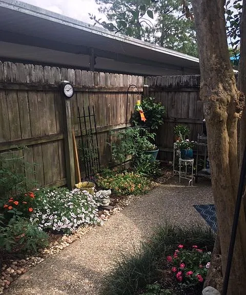 Back patio.